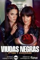 Вдовы, шлюхи и суки